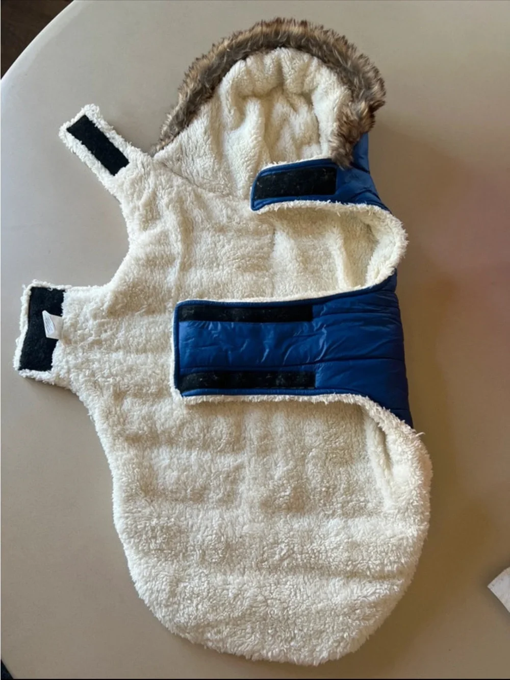 äd Worthy Dog Puffer Jacket - Blue, Warm & Lightweight XL